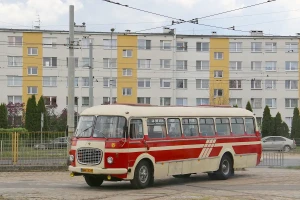 Wynajem zabytkowego autobusu Jelcz Ogórek